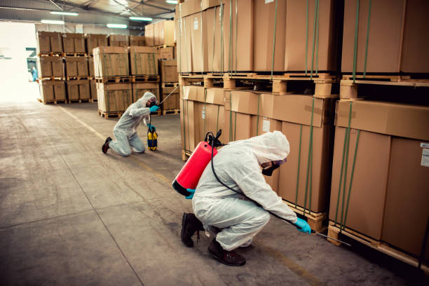 Best Pest Control Near Me  in Oxford, MI