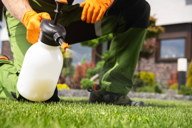 Best Affordable Pest Control Services  in Oxford, MI