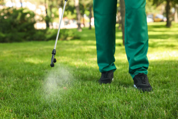 Reliable Oxford, MI Pest Control Solutions