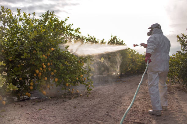 Insect Control in Oxford, MI