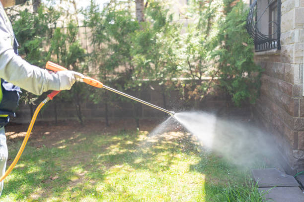 Best Mosquito Control Services  in Oxford, MI