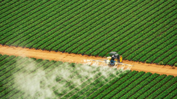 Best Pest Control for Homes  in Oxford, MI