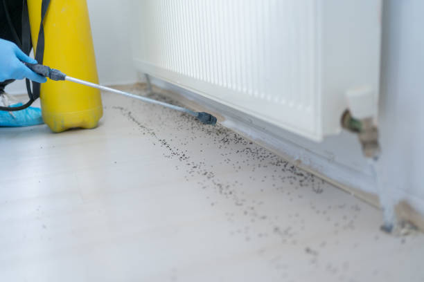 Best Termite Control Services  in Oxford, MI