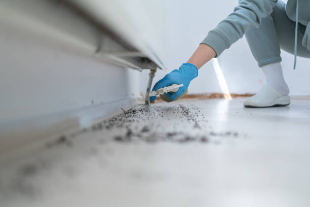 Best Emergency Pest Control  in Oxford, MI